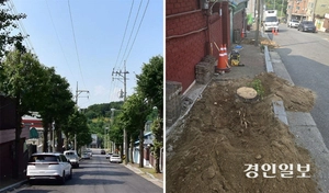 ‘나무와 공존’ 없는 수목정책, 평택시 ‘행정편의주의’ 지적
