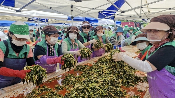 9일 파주시 탄현면 통일동산 장단콩웰빙마루 주차장에서 파주시새마을회 김명자 회장 등 회원 300여 명이 참석한 가운데 열무, 얼갈이 2천단으로 담근 햇김치를 지역 어르신 1천여 명에 나눠주기 위한 사랑의 햇김치 담그기 행사를 개최했다. 2025.6.9 /파주시새마을회 제공