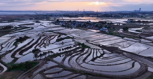 [포토] 다랭이논 들녘 비추는 일몰의 아름다움