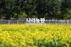 양주시, 9월 열리는 ‘천일홍축제’와 지역상권 상생 추진