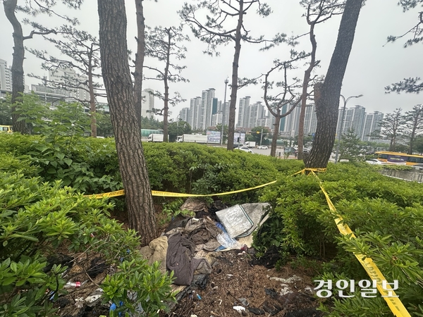 수원시 장안구의 한 도로 옆 수풀 속에서 최근 남성으로 추정되는 시신이 발견됐다. 2025.6.13 /목은수기자wood@kyeongin.com