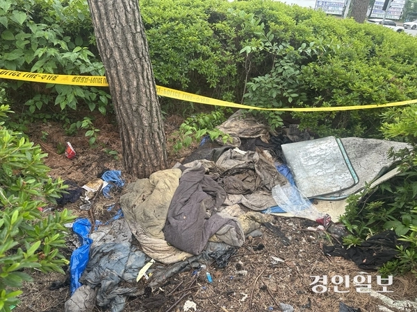 수원시 장안구의 한 도로 옆 수풀에서 최근 남성으로 추정되는 시신이 발견됐다. 옷가지와 컵라면 등 이곳에서 생활한 흔적이 남아있다. 2025.6.13 /목은수기자wood@kyeongin.com