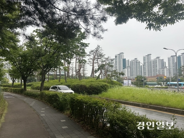 수원시 장안구의 한 도로 옆 수풀에서 최근 남성으로 추정되는 시신이 발견된 지점 뒤로 차량이 오가고 있다. 2025.6.13 /목은수기자wood@kyeongin.com