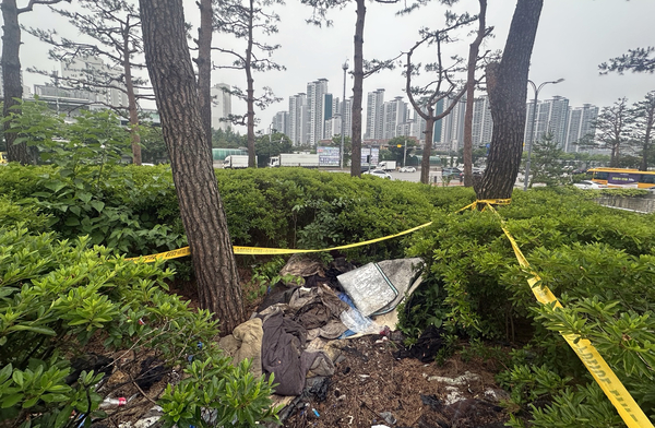 최근 수원시 장안구 정자동 한 도로 옆 교통섬 수풀 속에서 남성 노숙인으로 추정되는 백골 상태의 시신이 발견됐다. 2025.6.13 /목은수기자wood@kyeongin.com