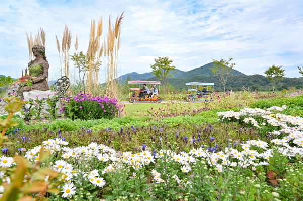 지난해 한탄강 생태경관단지에서 열린 한탄강 가든 페스타. 2025.6.16