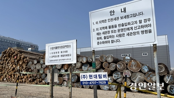 25세 베트남 국적 도탁칸이 숨진 목재 야적장. 국과수는 그가 목재에 뿌려진 화학약품에 질식한 것으로 추정했다. /김용국기자 yong@kyeongin.com