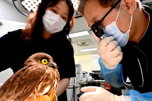 [포토&스토리] 요 새, 몸은 좀 어떤가요?