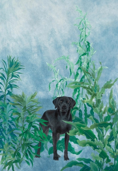 이정희 作 응시, 2020, 광목에 채색, 162.2x112.1cm /도든아트하우스 제공