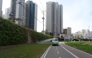 광명시, 시민 불쾌감 해소 위해 ‘러브버그’ 퇴치 나서