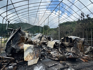 주거용 비닐하우스, 불나면 복구 지원도 못 받아