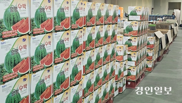 3일 양평군 청운면 일대 수박 집하장. 재배된 수박들이 당도 선별기를 거쳐 판매용 박스에 포장되고 있다. 2025.7.3 양평/장태복기자 jkb@kyeongin.com