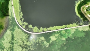 [화보] 폭염과 함께 찾아온 초록빛 녹조