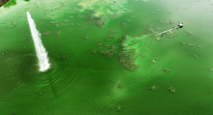 [포토] 이른 폭염에 더 짙어진 녹조