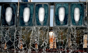 [포토] 폭염 날릴 시원한 얼음의 향연