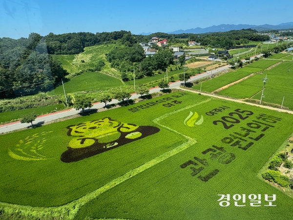 10일 여주보 일대 논에 유색벼 논그림이 장관을 이루며 ‘2025 관광원년’ 선포와 함께 ‘쌀밥 미식의 도시’ 여주를 알리는 차별화된 콘텐츠로서의 매력을 확실히 보여주고 있다. 2025.7.10 여주/양동민기자 coa007@kyeongin.com