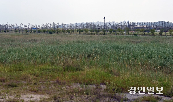 14일 방치되어 있는 인천시 중구 세계한상드림아일랜드 사업 부지의 모습. 2025.7.14 /김용국기자 yong@kyeongin.com