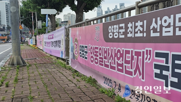 16일 물맑은양평체육관 인근에 양동일반산단 국토교통부 지정계획 통과를 환영하는 현수막이 게시돼 있다. 2025.7.16 양평/장태복기자 jkb@kyeongin.com