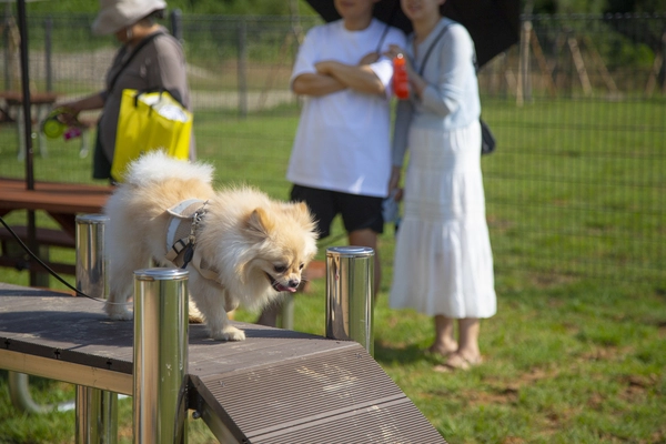 안성맞춤랜드 같이파크. /경기관광공사 제공