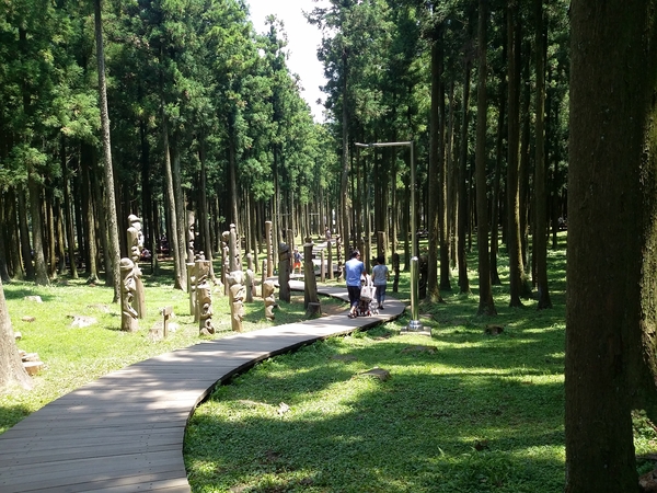 절물 여름 삼울길. /절물자연휴양림 제공