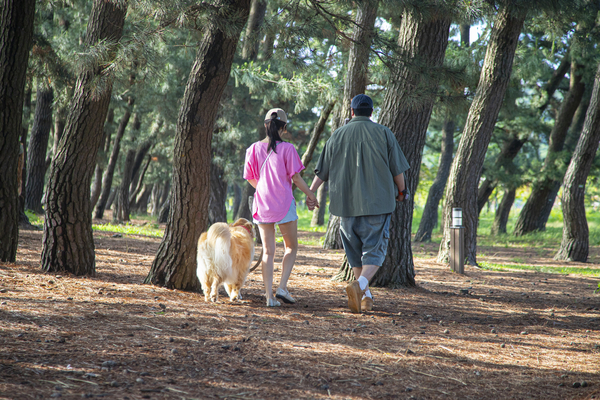 화성 궁평오솔로파크. /경기관광공사 제공