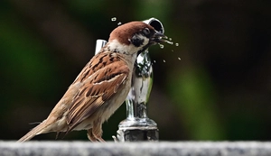 모든 농축협사무소 무더위쉼터로 개방