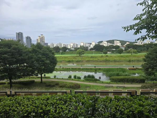 제방도로 위에서 왕숙천을 바라보면 중간에 놓인 연못이 생태습지다. 2025.7.18 /한철수 구지옛생활연구 소장 제공