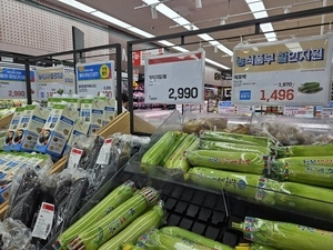 정부 휴가철 농축산물 할인 지원… 대형마트-전통시장 엇갈린 표정