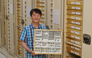 [인터뷰…공감] “러브버그와 공존 방법 찾겠다” 박선재 국립생물자원관 연구관