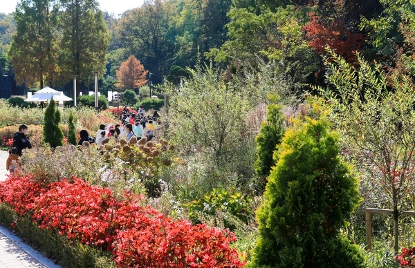 부천자연생태공원을 찾은 관람객들이 공원 내 수려한 자연경관과 다양한 생물을 관찰하며 여가 시간을 보내고 있다. /부천시 제공