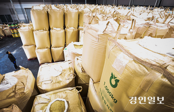 경기도내 한 미곡종합처리장(RPC) 창고에 올해 수매된 벼 포대가 산더미 처럼 쌓여 있다. 2024.11.13 /경인일보DB