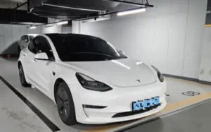 전기차 시장 이끄는 기아 EV3·테슬라 모델 Y