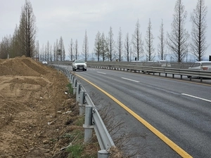 사라진 메타세쿼이아… 평택시, 단순 행정 실수? 의도된 벌목?