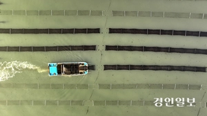 ‘이름표 생긴’ 경기도 김,  지리적 표시제 도입하나