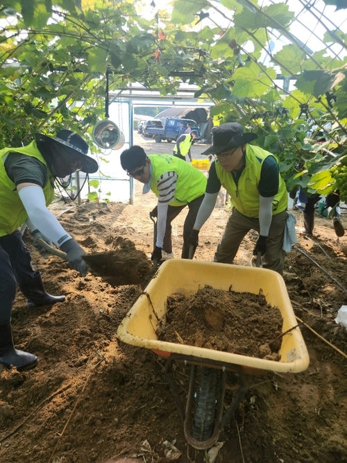 농협 광주시지부가 폭우에 피해를 입은 포천시 농가를 찾아 일손돕기를 진행했다. 2025.7.29 /농협 광주시지부 제공
