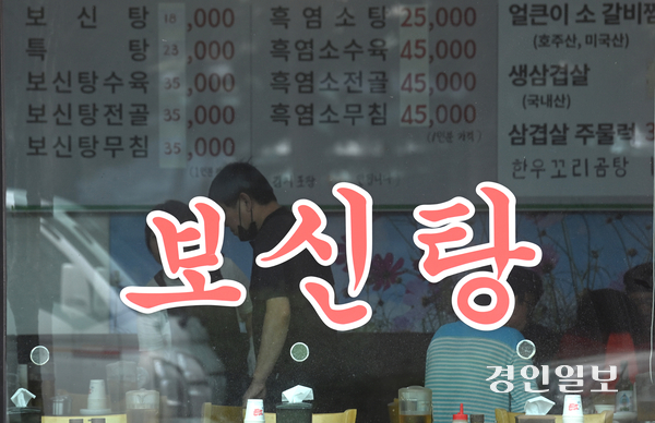 중복인 30일 오후 성남시의 한 보신탕 음식점에서 손님들이 식사를 하고 있다. 2027년 2월부터는 식용을 목적으로 개를 사육하거나 판매하는 행위는 전면 금지된다. 2025.7.30 /최은성기자 ces7198@kyeongin.com