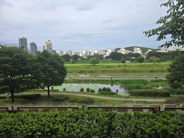 제방도로 위에서 바라본 구리 왕숙천. 중간에 놓인 연못이 생태습지다. /한철수 구지옛생활연구소장 제공