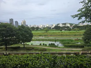 수해 흔적마저 역사로… 휴식처로 거듭난 구리 왕숙천