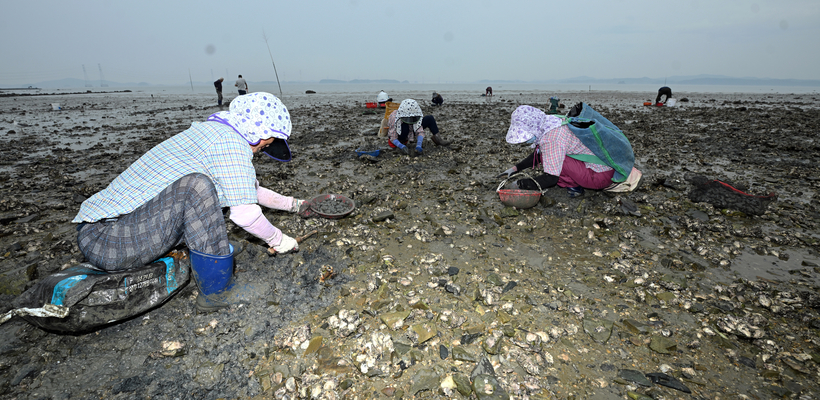 바다가 끓는다, 애끓는 어민들