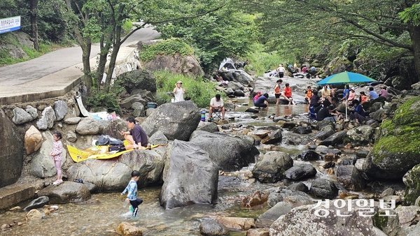 계곡의 길이가 약 1㎞에 달하는 양평군 옥천면 용천리 일대 사나사계곡. 이곳은 깊지 않은 수심과 맑은 물로 여름철 피서지로 매년 인기를 끄는 곳이다. 4일 사나사계곡을 찾은 피서객들이 맑은 계곡물에 발을 담그며 무더위를 식히고 있다. 2025.8.4 양평/장태복기자 jkb@kyeongin.com