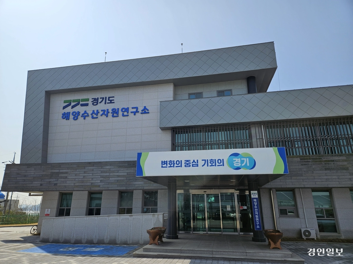 경기도 해양수산자원연구소는 오는 2030년까지 신 품종 등재를 목표로 경기 바다에 특화된 ‘경기도 김’을 개발 중이다. 2025.4.22 /김지원기자 zone@kyeongin.com