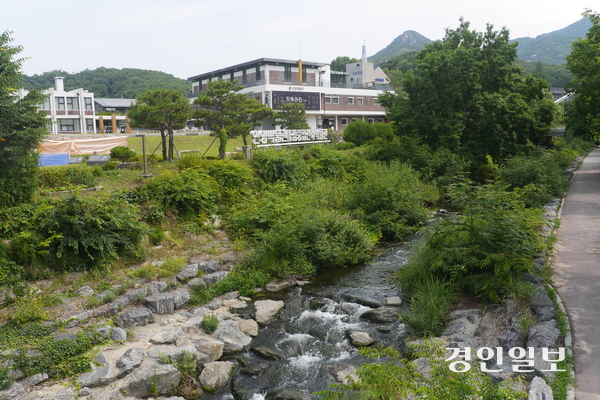 안양박물관 입구로 건너가는 교량 위에서 바라본 안양박물관 본관(오른쪽)과 김중업건축박물관. 시원한 계곡물과 어우러진 박물관의 모습이 눈길을 사로잡는다. 2025.7.31 안양/박상일기자 metro@kyeongin.com