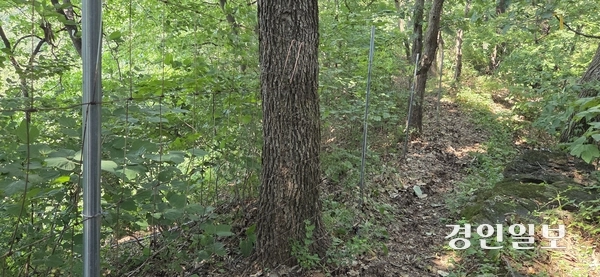 파주 삼봉산 등산로가 철조망과 산악 오토바이 등으로 훼손되면서 이에 대한 대책이 필요하다는 지적을 받고 있다. 파주/이종태기자 dolsaem@kyeongin.com