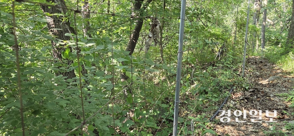 파주 삼봉산 등산로가 철조망과 산악 오토바이 등으로 훼손되면서 이에 대한 대책이 필요하다는 지적을 받고 있다. 파주/이종태기자 dolsaem@kyeongin.com