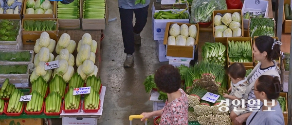 폭염·폭우 등 이상 기후에 장바구니 물가가 들썩이고 있다. 사진은 5일 인천 남동구 남촌농산물도매시장에서 물건을 고르고 있는 시민들의 모습. 2025.8.5 /조재현기자 jhc@kyeongin.com