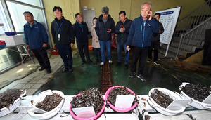 남해 김 값에 맞춘다… 김새는 경기도 어민