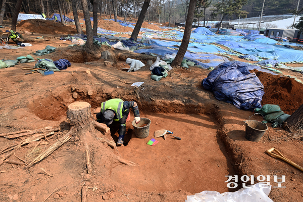 선감학원 아동 유해매장 추정지로 확인된 안산시 단원구 선감동 산37-1에서 분묘 155기에 대한 유해 발굴 작업이 실시 되고 있다. 유해발굴 작업자들이 개토 작업을 하고 있다. /임열수기자 pplys@kyeongin.com