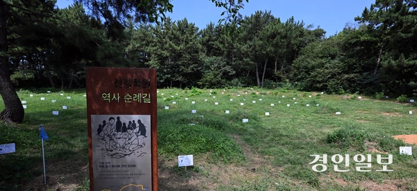 국가의 배상판결 상소 취하를 계기로 경기도는 유해발굴 및 안치 비용에 대해 정부에 구상권 청구 방안을 검토하고 있다. 사진은 선감학원 공동묘역 유해발굴 사전절차로 분묘 일제 조사 안내문과 분묘번호가 곳곳에 꽂혀 있는 모습. /임열수기자 pplys@kyeongin.com