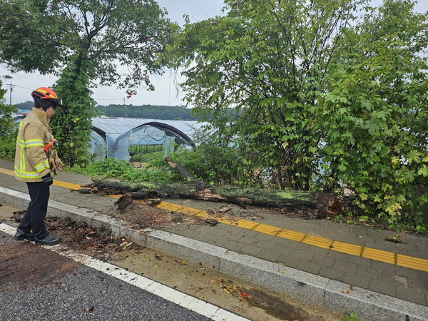 6일 경기도북부소방재난본부 관계자가 호우 관련 피해를 접수한 뒤 현장에 출동해 안전조치를 하고 있다. 2025.8.6 /경기북부소방재난본부 제공