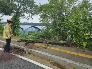 경기북부 호우로 차량 고립·나무 쓰러짐 사고 발생… 인명피해는 없어