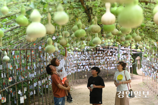 절기상 입추(立秋)인 7일 오후 용인시 기흥구 한국민속촌을 찾은 관광객들이 조롱박 터널을 거닐며 즐거운 시간을 보내고 있다. 2025.8.7 /최은성기자 ces7198@kyeongin.com